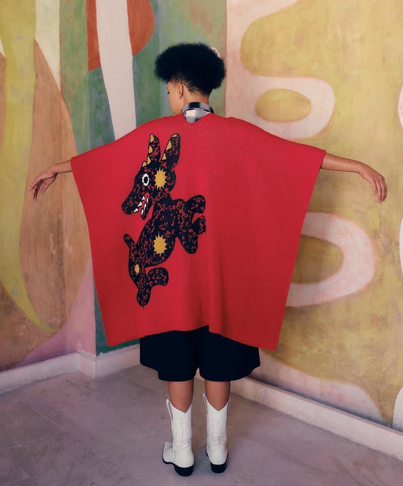 Ppaayyss Poncho xolo